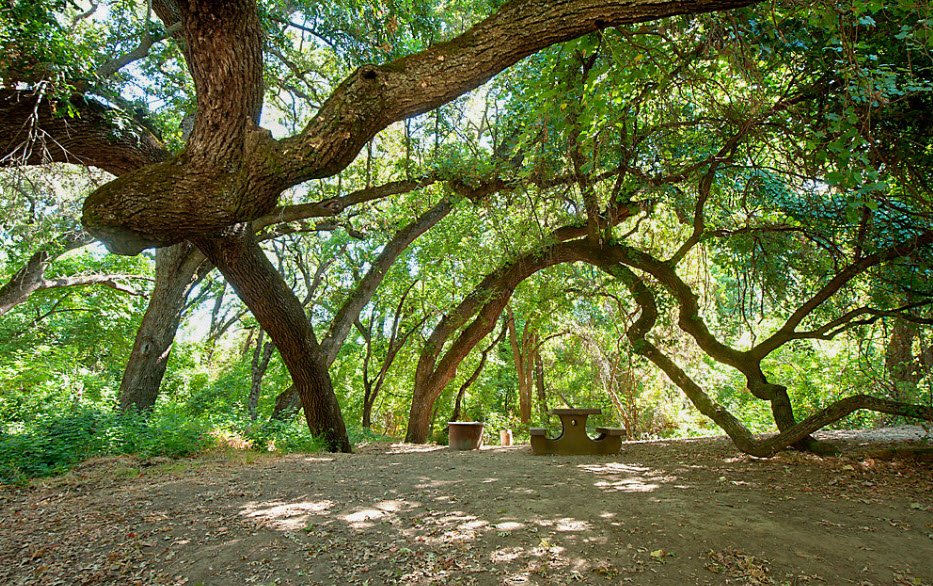 Woodson Bridge State Recreation Area, California, USA